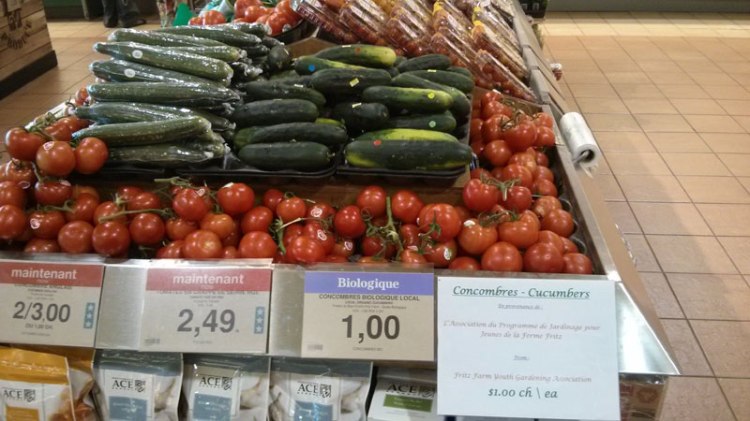 Fritz-Farm-cucumbers